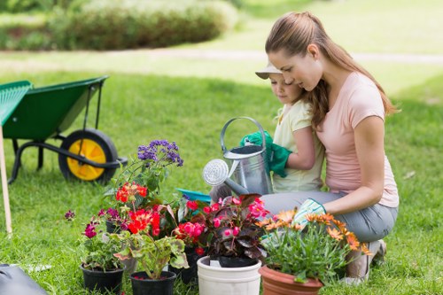 Seasonal lawn care activities in Penge
