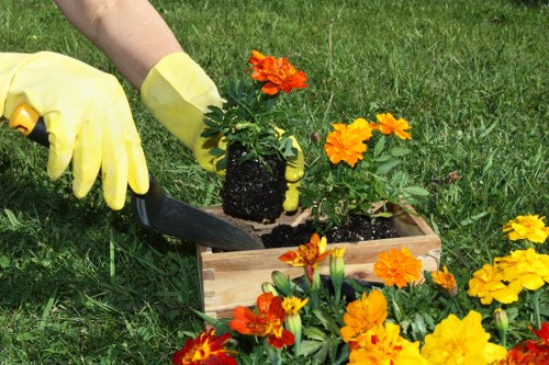 Professional landscapers designing a garden in Penge